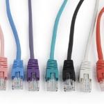 Gembird CAT5 UTP Patch Cord Grey 0.5M პაჩკორდი