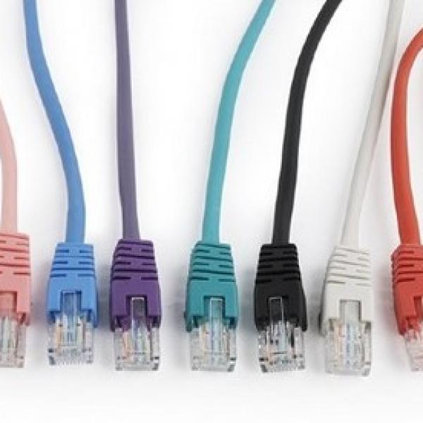 Gembird CAT5 UTP Patch Cord Grey 0.5M პაჩკორდი